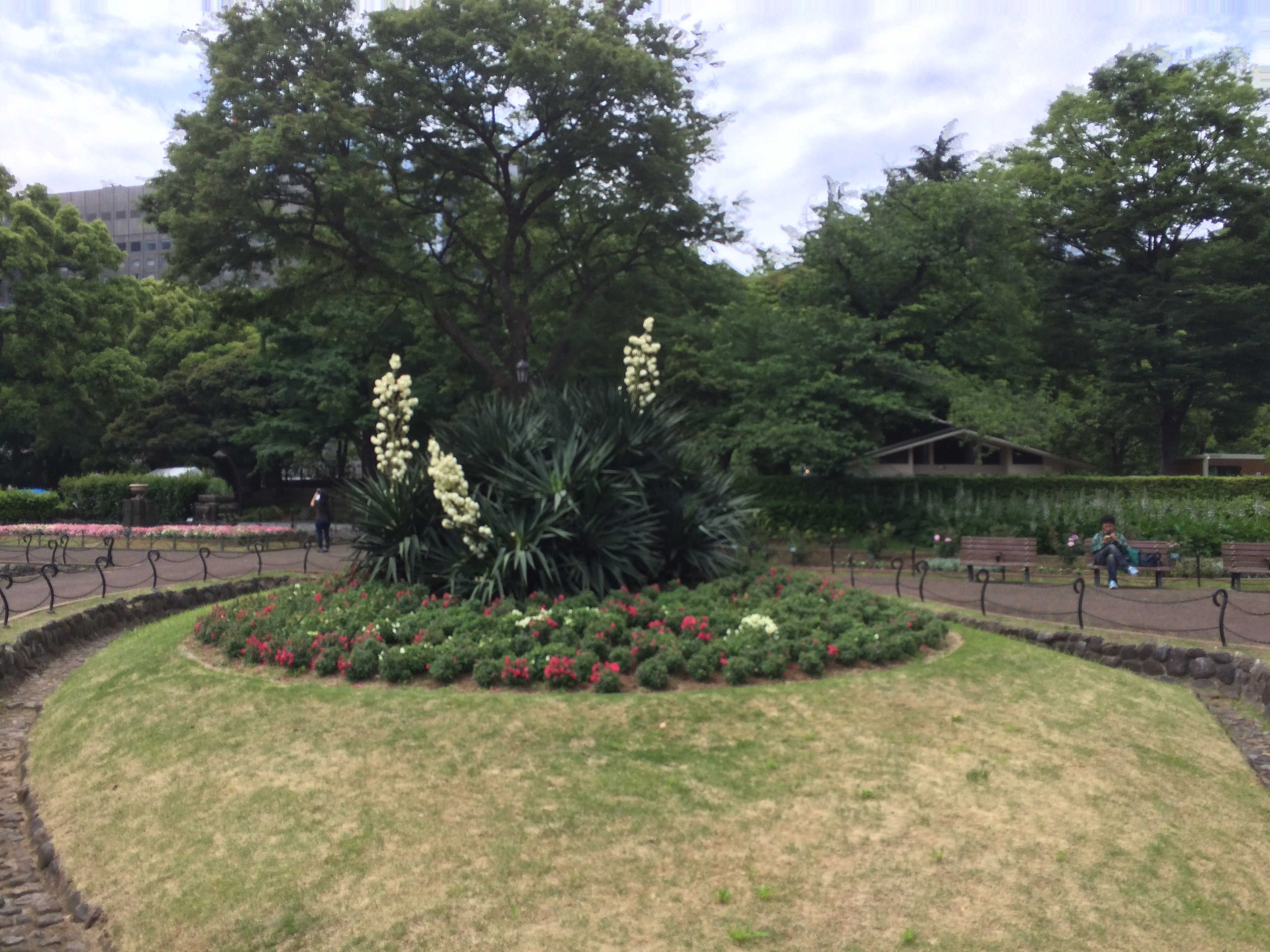 日比谷公園　第一花壇